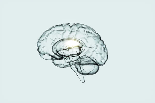 Como manter seu crebro saudvel em qualquer idade, de acordo com neurologistas