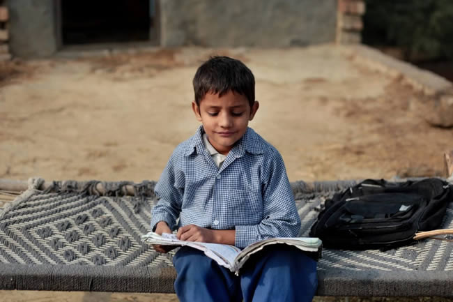 O que um empresário aprendeu sobre liderança ao observar a educação na Índia rural